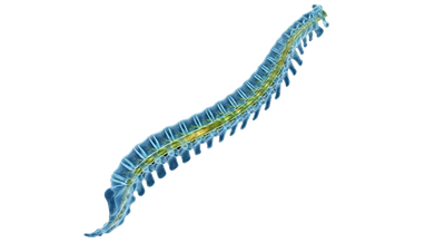Firm Alignment for Chronic Stiffness