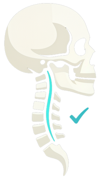 Restores Natural Neck Curve