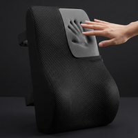 Spine Support Cushion
