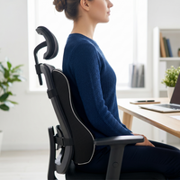 Spine Support Cushion