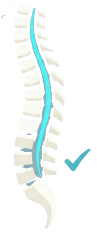 Perfect Spinal Alignment