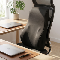 Spine Support Cushion