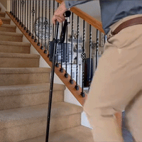 Dual Handle Walking Support
